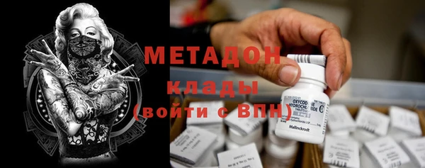 прущие грибы Новокубанск