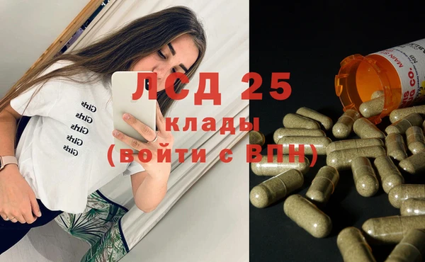 соль ск Новозыбков