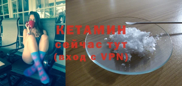 соль ск Новозыбков