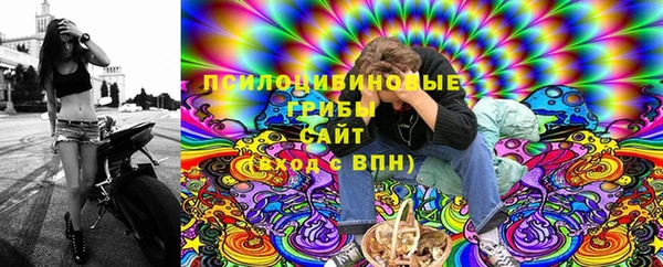 мдпв Нягань