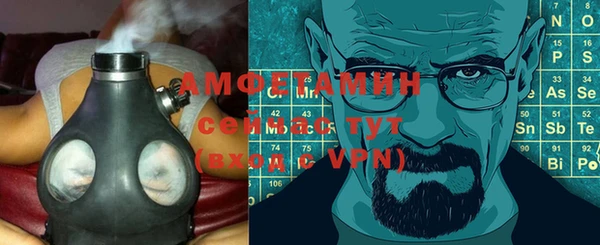 прущие грибы Новодвинск