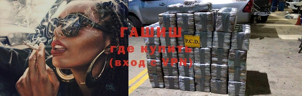 прущие грибы Новодвинск