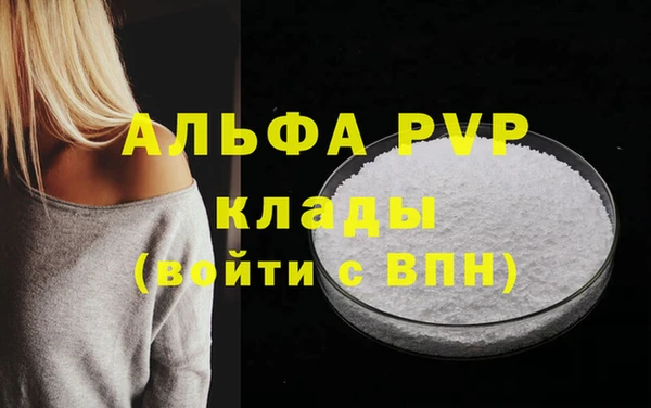 прущие грибы Новокубанск