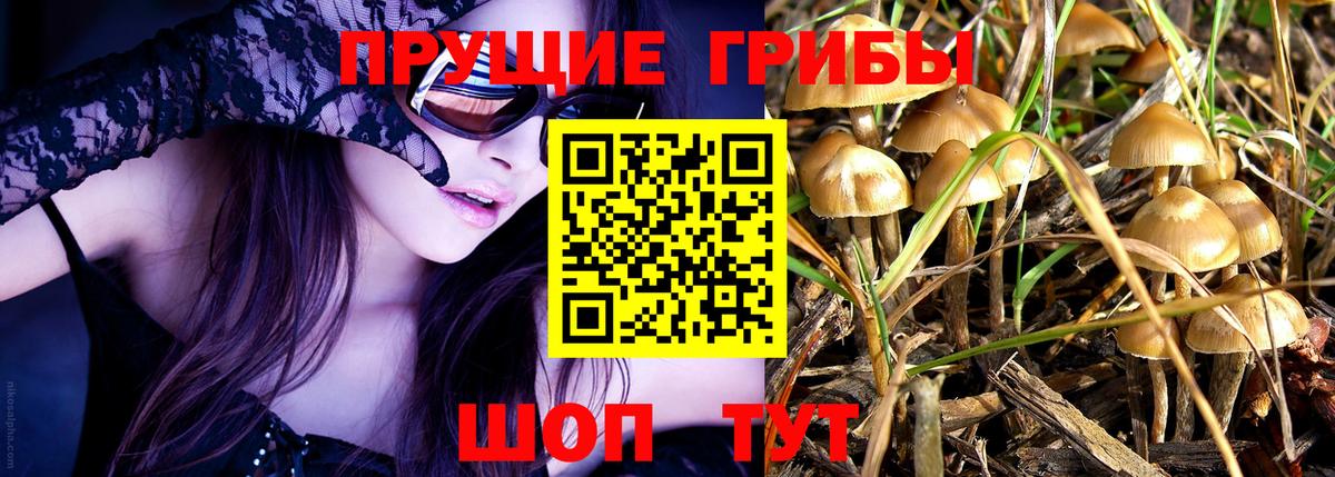даркнет сайт  Ржев  Галлюциногенные грибы Psilocybine cubensis 