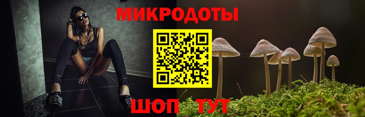 Псилоцибиновые грибы прущие грибы Ржев